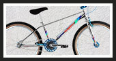 Cruiser