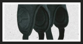 Ankle Guards