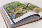 Preview: BMX Buch 30 Years Of POSH