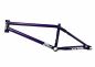 Preview: Rahmen S&M REA Levenson Signature