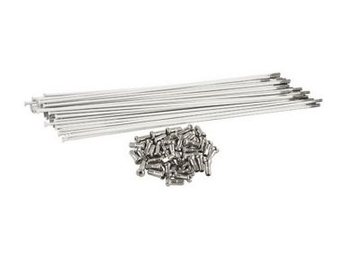 Speichen Tree Twigs&Berries Straight Gauge SALE