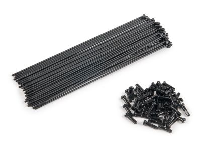 Spokes Eclat PG