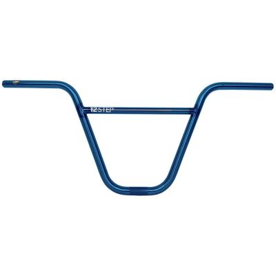 Bar S&M 12 Step