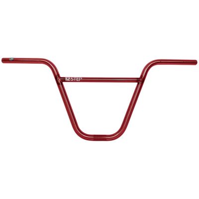 Bar S&M 12 Step