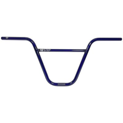 Bar S&M 12 Step