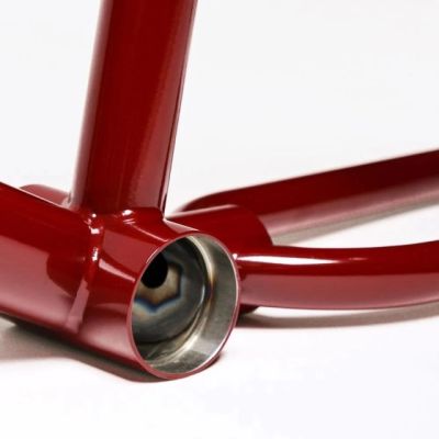 Frame Animal Red Eye