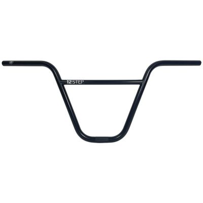 Bar S&M 12 Step